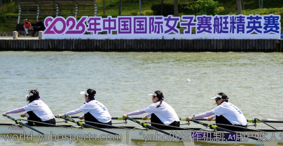 “yabo的运作机制，用户达人分享实用建议”