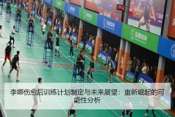 李娜伤愈后训练计划制定与未来展望：重新崛起的可能性分析